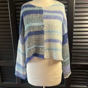 Blue Stripped Waist length sweater